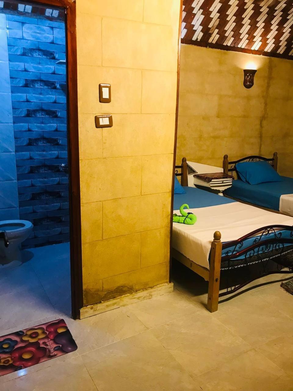 Labib Guest House アスワン エクステリア 写真